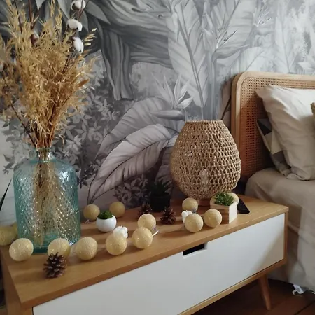 Appartement Gare Centre Parking Nancy