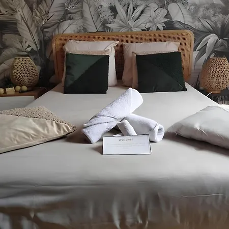 Appartement Gare Centre Parking Nancy