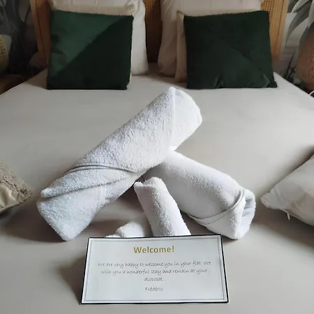 Appartement Gare Centre Parking Nancy