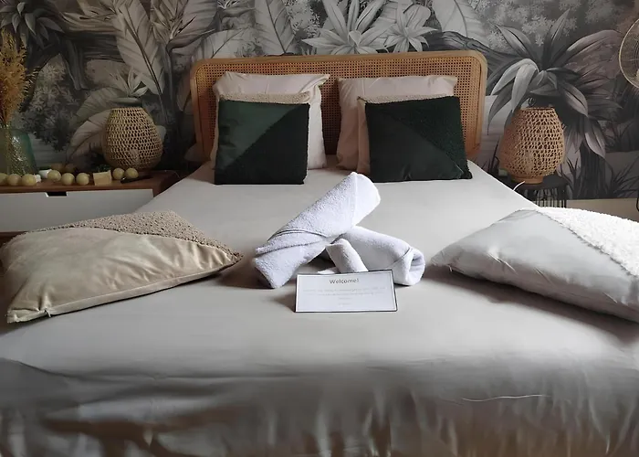 Apartment Gare Centre Parking Nancy