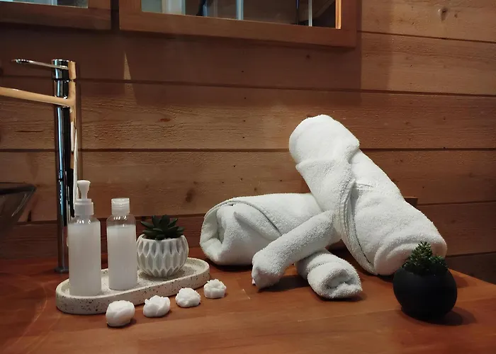 Gare Centre Parking Apartment