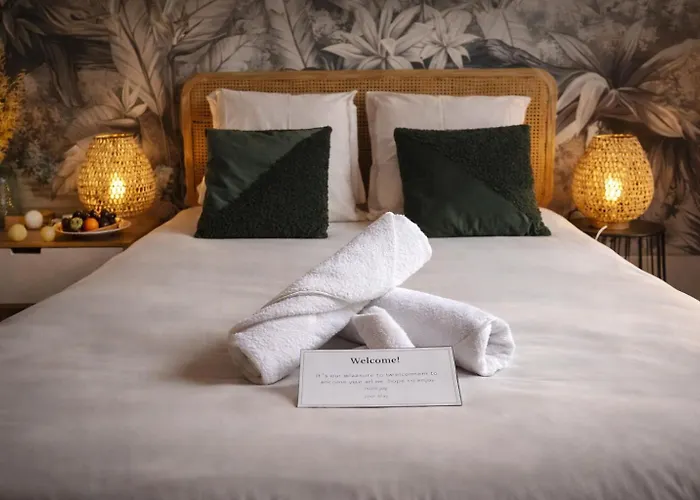 Gare Centre Parking Appartement Nancy